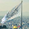 مالك بن الريب's profile picture