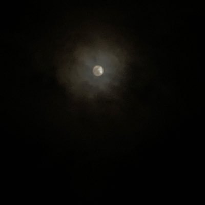 Rami7psh's profile picture