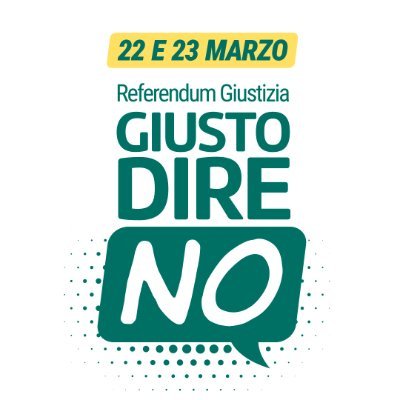 GiustodireNO's profile picture