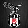 KAPKARA KARTAL 的头像