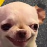 Grescol's profile picture