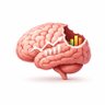 Brain Bite's profile picture