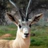 _--_ profil fotoğrafı