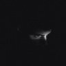 ​𝗟 𝗔 𝗜 𝗧 𝗛's profile picture