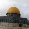 عبدالهادي حرب profil fotoğrafı