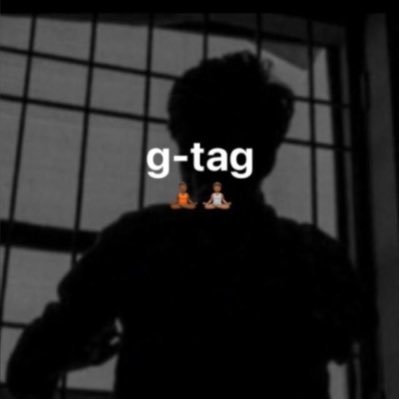 gtagmemes's profile picture