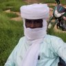 النور بدر ادم's profile picture