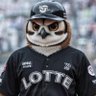 So I'm a Owl. So what?'s profile picture