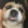 Grant H's profile picture