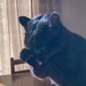 ハナカラハカランダ 的头像