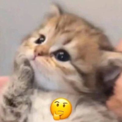 Tynted's profile picture