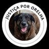 Ana's profile picture