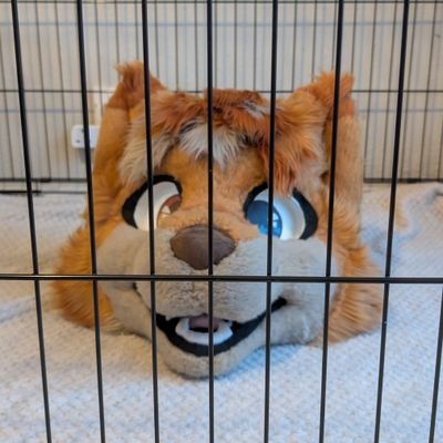 ApollosFluff's profile picture