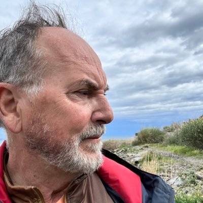 Jacobo Llorens_Arbolista_Treerider's profile picture