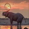 Kakembo profil fotoğrafı