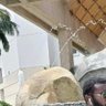 Gaviria Los Pepes's profile picture