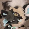 Фото профиля Tesora Hyena ✨️PCD🔜BLFC✨️