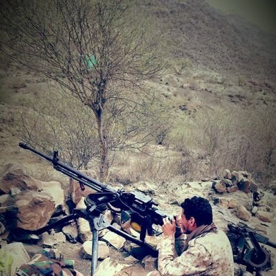 WadahAlhemusei's profile picture