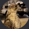 Profilbild von عبدالله