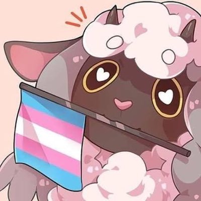 Meep 🏳️‍⚧️'s profile picture