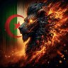 Nassim 🇩🇿🇵🇸's profile picture