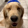 Profilbild von Aegon