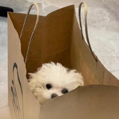 dogglove_'s profile picture
