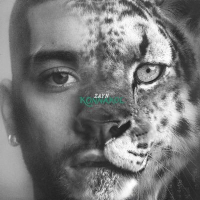 inZAYN's profile picture