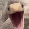 Profilbild von Ela Kurtar