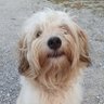 TheEyeroller profil fotoğrafı