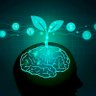 Diary Of A Mindset's profile picture