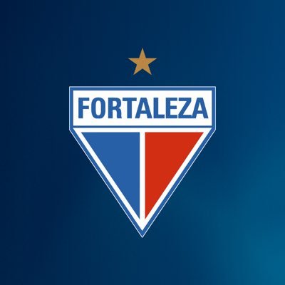 Fortaleza Esporte Clube 🦁's profile picture