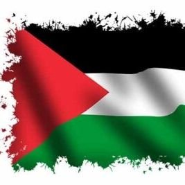 haya0ha's profile picture