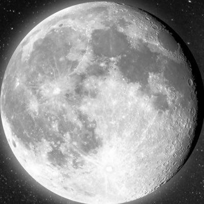 Fall_Moon0924's profile picture