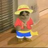 Mellon 的头像