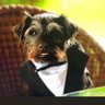 GazQPR profil fotoğrafı