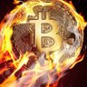Фото профиля BtcMaxi