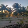 Lianes.s - 🫂 NORDESTE É O MEU PAÍS's profile picture