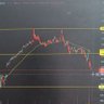 Mercado bull 的头像
