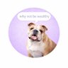 Profilbild von why not be wealthy