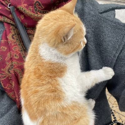 hhayya__03's profile picture