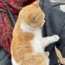 هيا نزال's profile picture