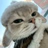 G-Q's profile picture