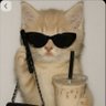 Neverdie's profile picture