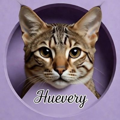 SirSmores's profile picture