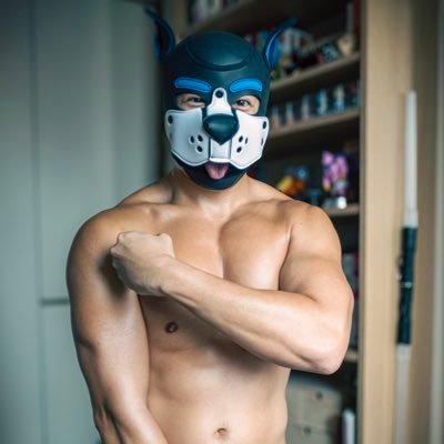 monkeygogo_bara's profile picture