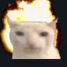 :3's profile picture