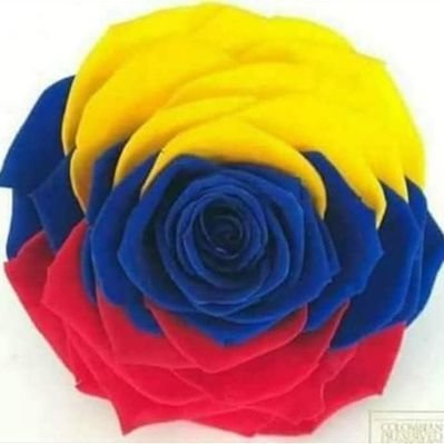 Luzz_Opina's profile picture