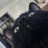 Profilbild von Kuro