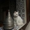 Фото профиля Fres